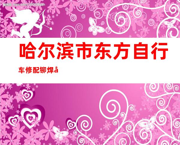 哈尔滨市东方自行车修配铆焊厂